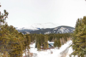 Mark IX #7 - Close to Town - Free Shuttle Breckenridge